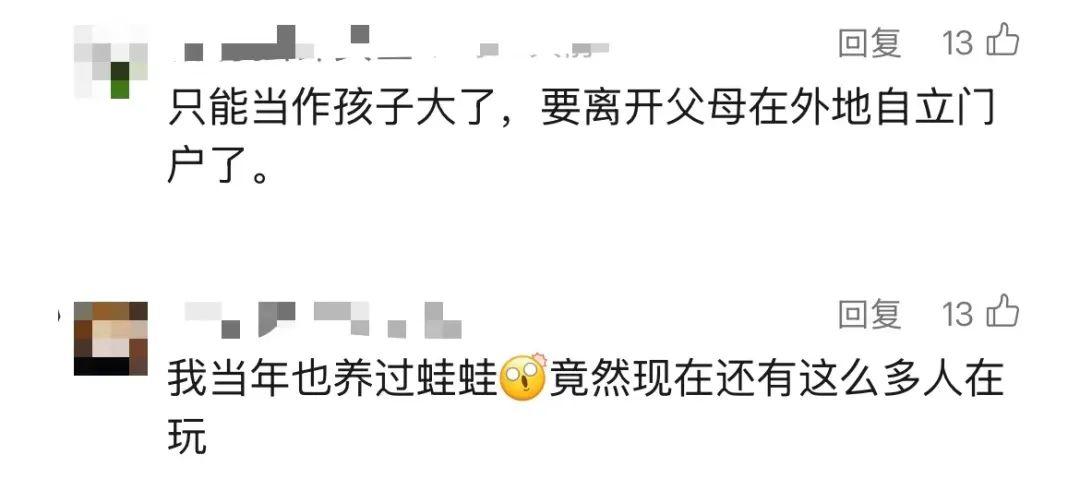 曾经火爆全网,如今部分停服,很多人都玩过这款游戏……今日