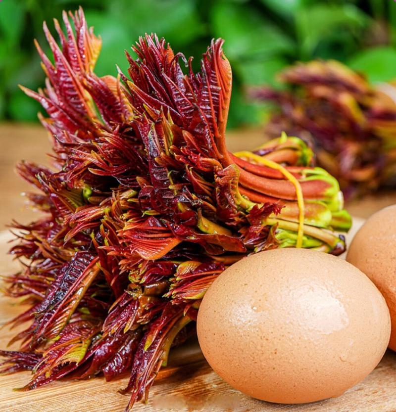 春天就好吃野菜?孕妇真的别乱吃……