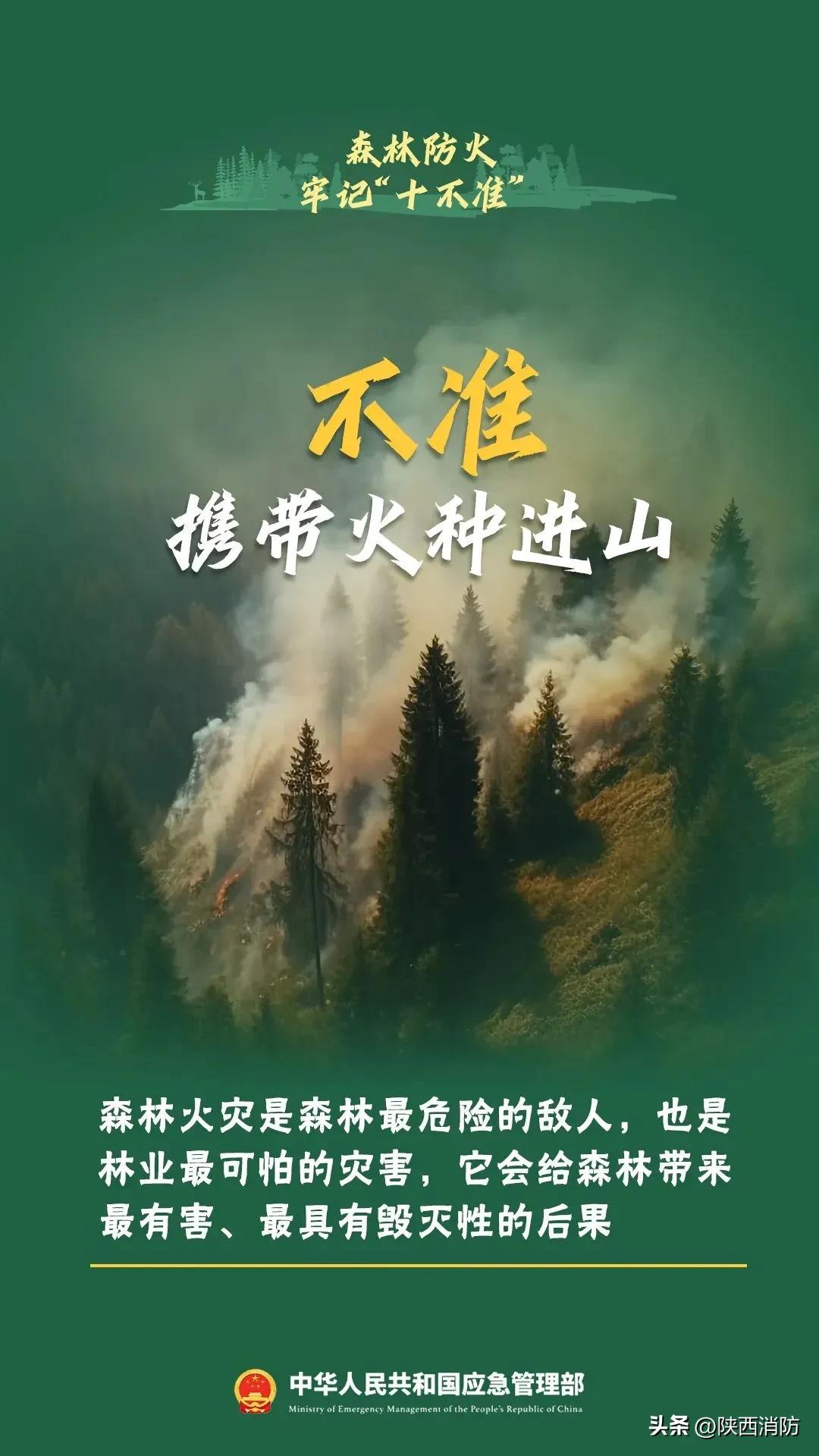 寒假闯祸,家长赔偿145万元!