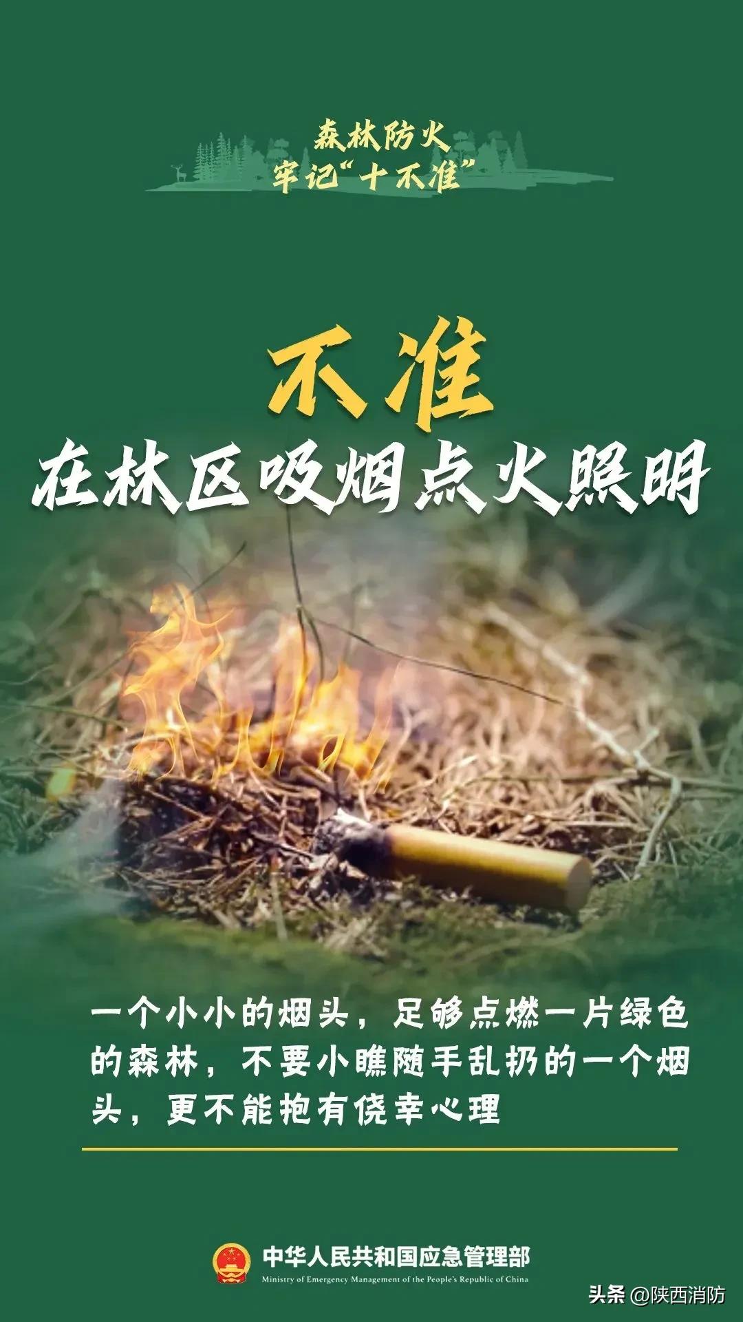 寒假闯祸,家长赔偿145万元!