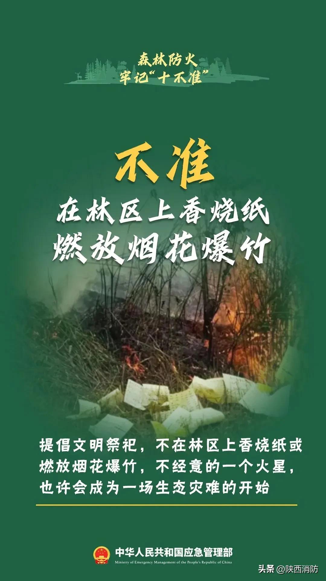 寒假闯祸,家长赔偿145万元!