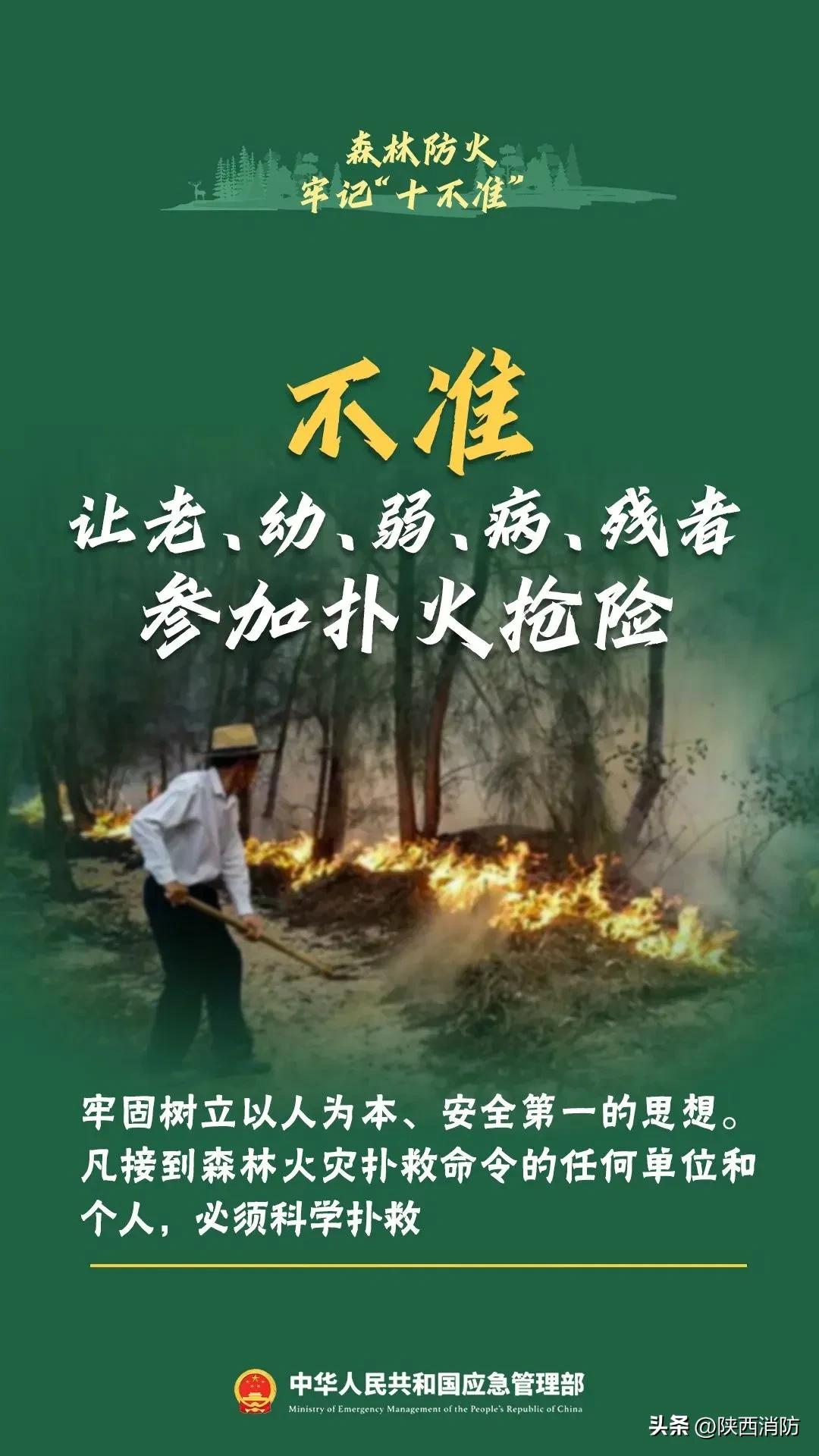寒假闯祸,家长赔偿145万元!