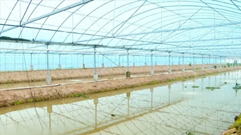 投入3000万元！公安水上春耕放大招
