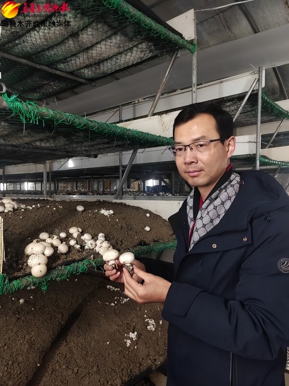 记者跑市场丨水洗菇引热议,新疆菌类专家实地辟谣