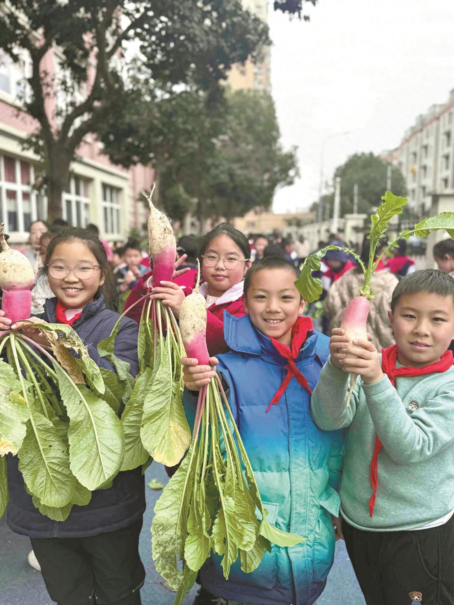 劳动教育玩出新高度，近500人比赛拔萝卜