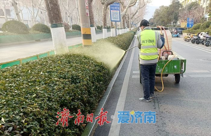 历下区园林绿化服务中心多举措做好春季绿化养护管理工作今日
