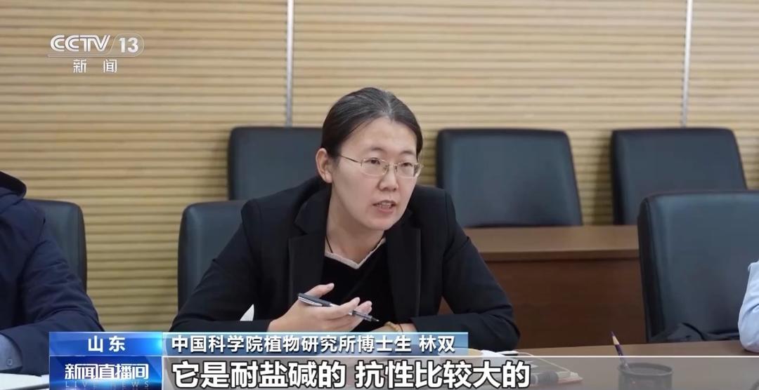 让东营盐碱荒滩变良田!今年这位全国人大代表的建议来了今日