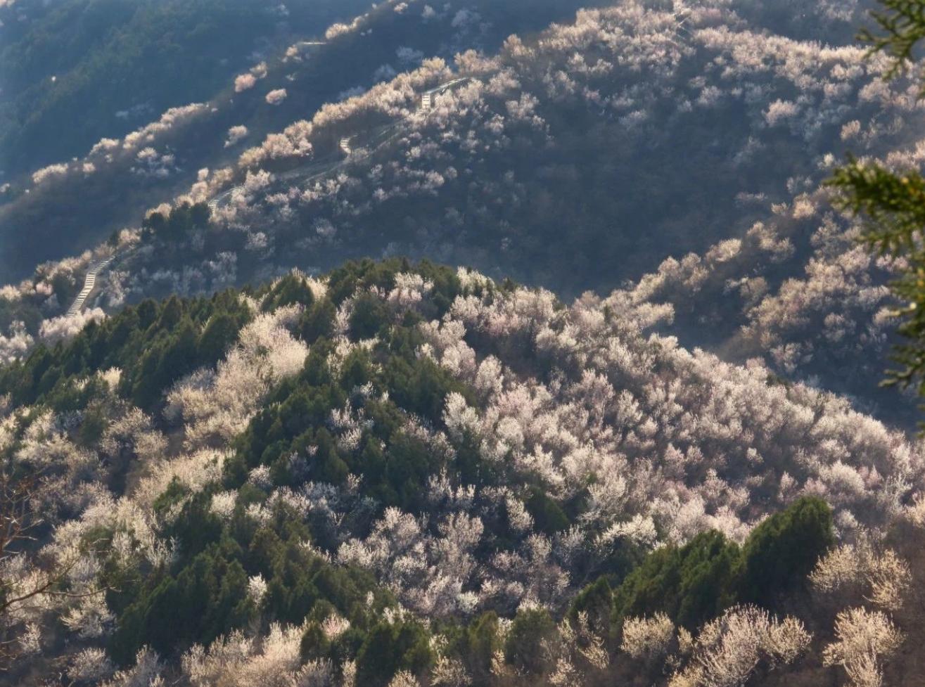 春天的脚步近了!北京最新爬春山攻略来了