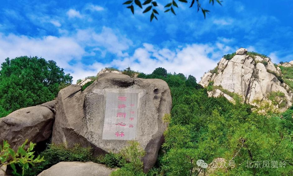春天的脚步近了!北京最新爬春山攻略来了