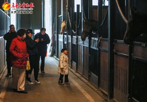 组图丨错峰旅游正当时