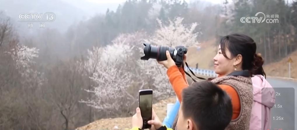 寻一片花海沐浴春风暖阳解锁打开春天的N种方式