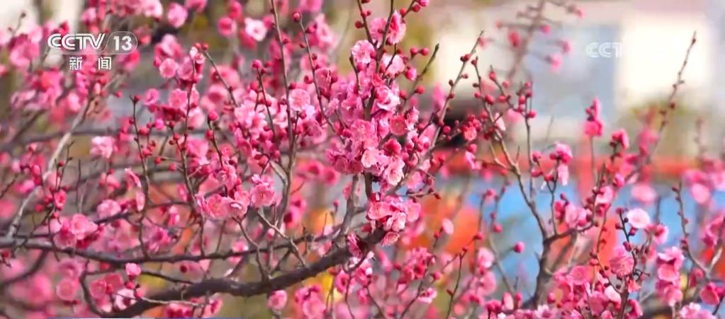 寻一片花海沐浴春风暖阳解锁打开春天的N种方式