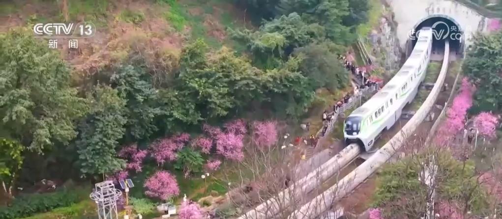 寻一片花海沐浴春风暖阳解锁打开春天的N种方式