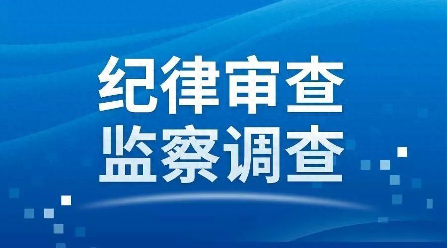 大理州南涧县人民政府党组成员、副县长杨光接受纪律审查和监察