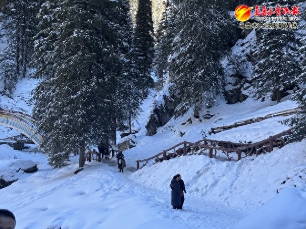 即日起至雪季结束，凭西白杨沟门票可在景区畅享滑雪