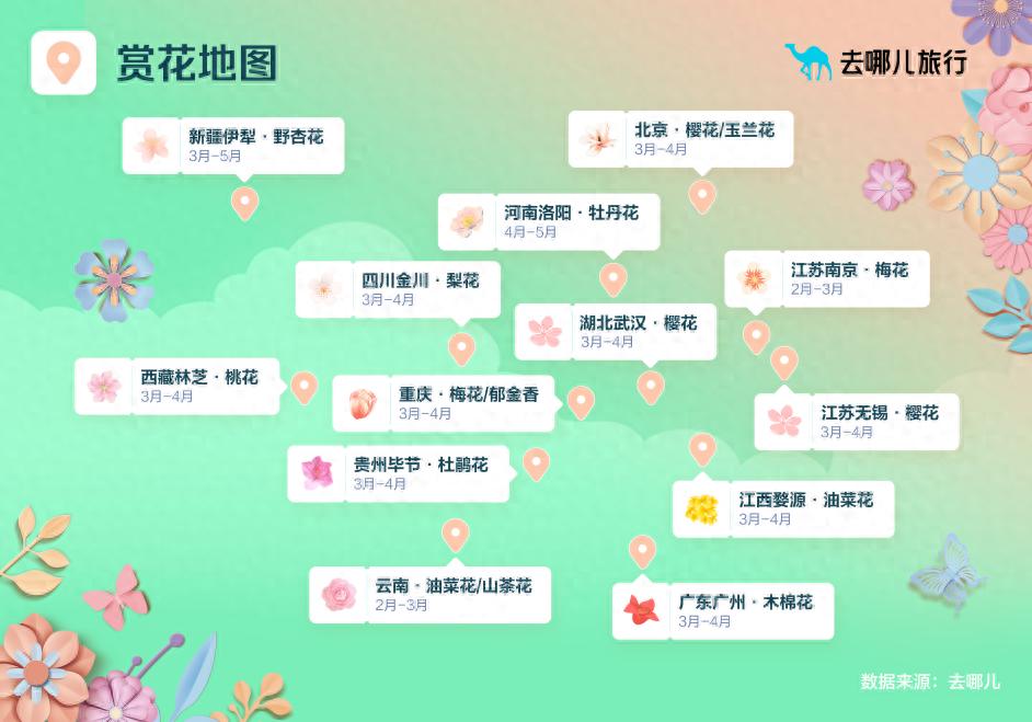 气温攀升+机票地板价，赏花游搜索量同比增22倍