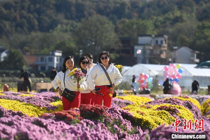 城市更新焕活力安徽芜湖打造家门口幸福圈